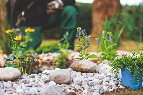 Gartenarbeit mit Steinen und Pflanzen